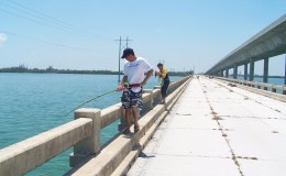 Bridge Sharking In The Keys&nbsp;5-19-2007