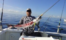 Reward Won with Captain Wayne  2-18-2012 “El&nbsp;Cuchillo”