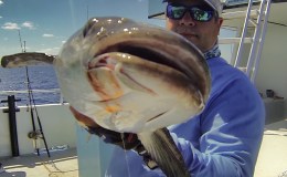 36 Hour Fishing Trip from Fort Lauderdale to Key Largo and Back May 4th to May&nbsp;5th