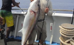 YANKEE CAPTS 6-14- TO 6-16-2012 Great fun and nice&nbsp;fishing