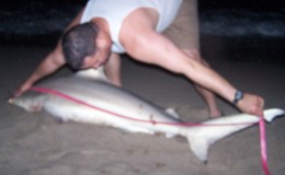 Beach Shark Fishing Singer Island&nbsp;2-8-2009