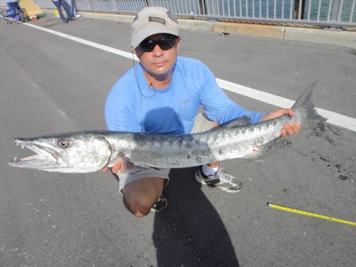 Herbert Hans Muller Cuda Keys Bridge 4