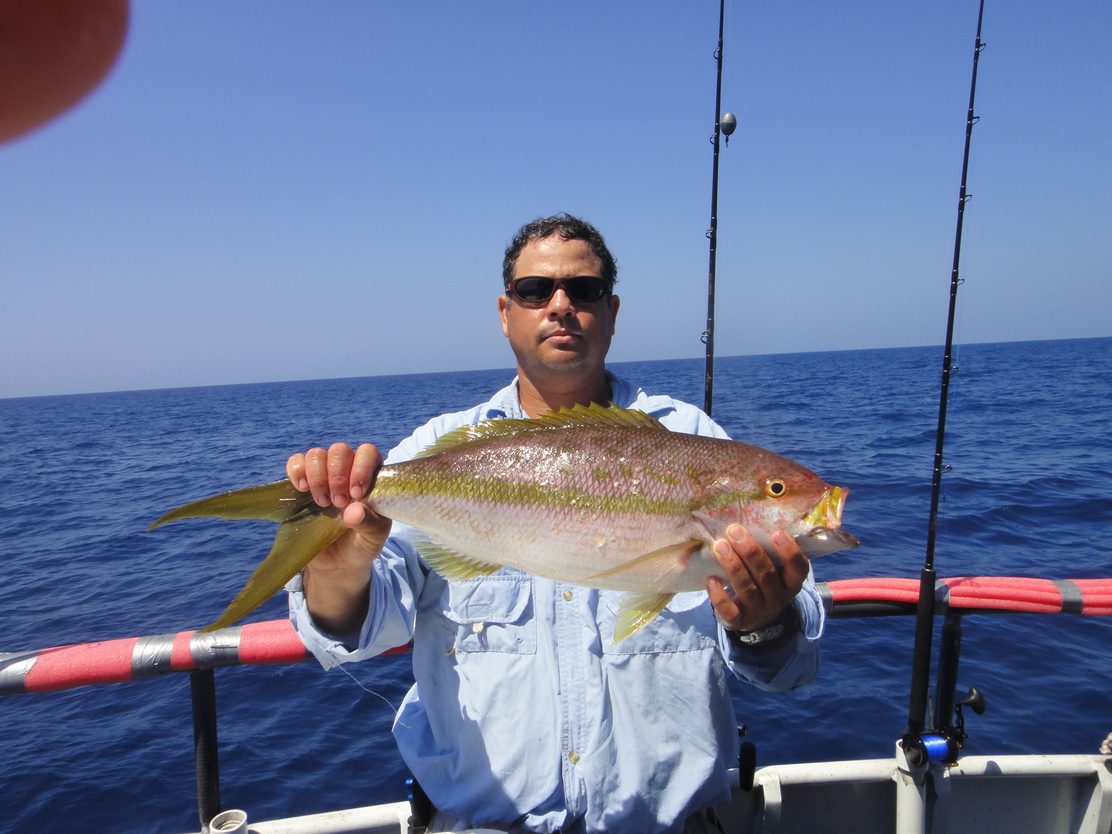 Herbert Hans Muller Yellow Tail Snapper | ShoreBound Adventures