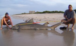 Beach Shark Fishing Fort Pierce, FL&nbsp;7-11-2009