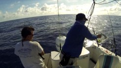 Cudaman Releasing an AJ 6-29-13