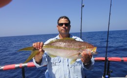 Yankee Capts 4-8 to 4-10-2011- A Wreck&nbsp;Trip