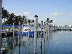 The docks at Haulover Marina