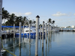 The docks at Haulover Marina