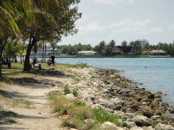 The shore at Haulover Park next to the Marina
