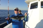 Small Blackfin Tuna