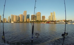 Jigging Trip June 15th on the Reward&nbsp;Won