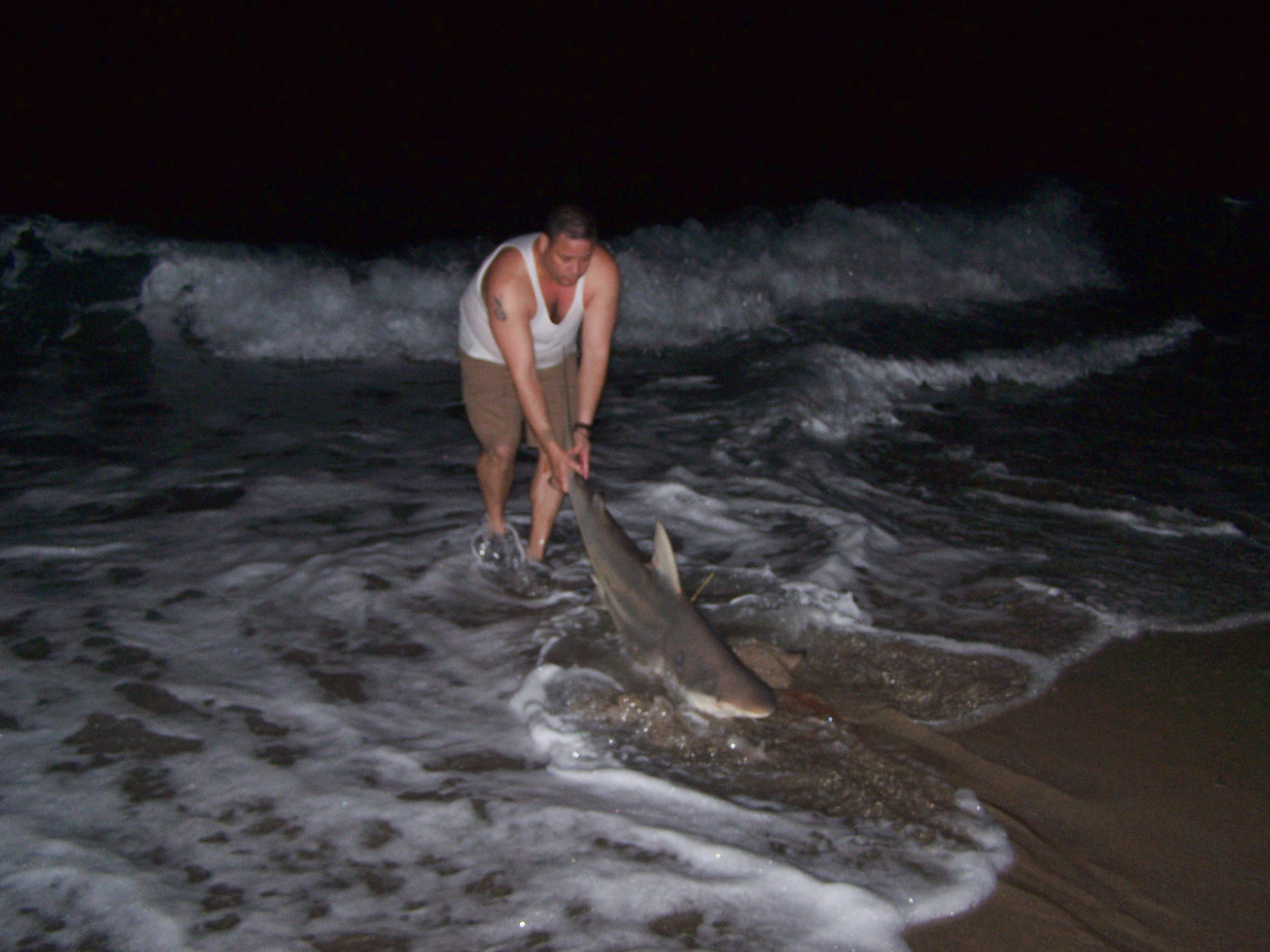 Landing and Releasing a Shark From Shore