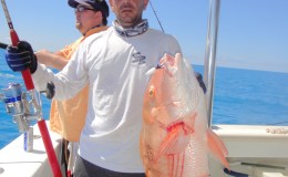 If You Didn’t Know Report&nbsp;7-26-2013