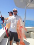 ARS- American Red Snapper