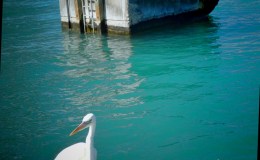 Key West February&nbsp;14th