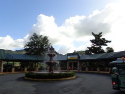 La Marqueza Forest in Puerto Rico