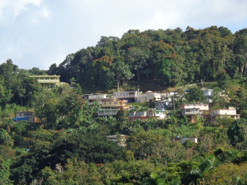 La Marqueza Forest in Guaynabo Puerto Rico