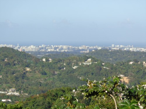 La Marqueza Forest in Puerto Rico