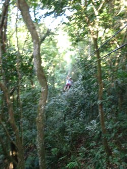 La Marqueza Forest in Puerto Rico-ziplining