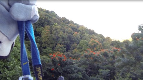 La Marqueza Forest in Puerto Rico-ziplining