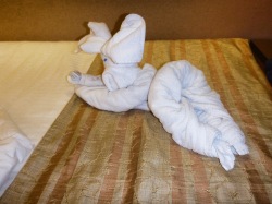 Towel art Carnival Cruise Lines