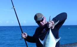 Dania Pier Pompanos and Jack Crevalles&nbsp;3-16-14