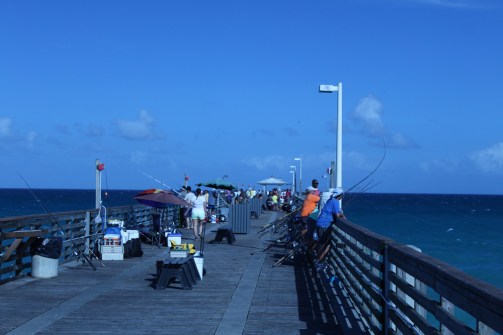 Dania Pier casting for pompano