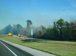 forest fire near highway in Texas
