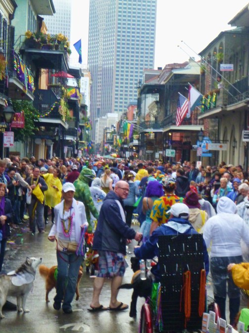 woof parade New Orleans 2