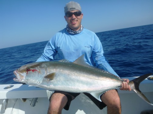 Ed Amberjack 3