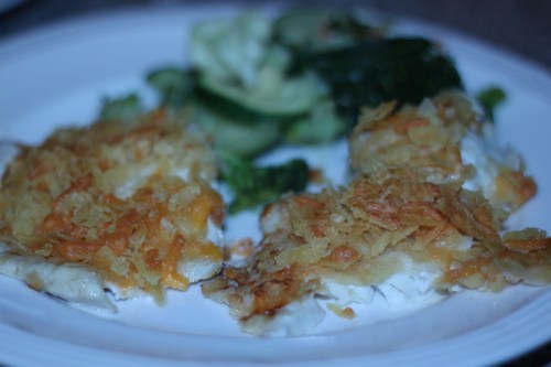 Fisherman's recipe 3-The Permit