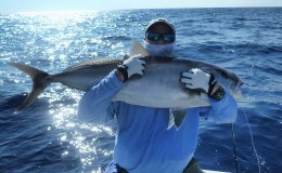 Capt. Easy Charter- Amberjack Mayhem-Vertical Jigging&nbsp;4-27-14