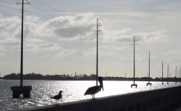 2014 in review – Shorebound Adventures Blog&nbsp;statistics