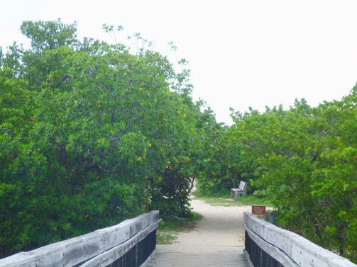 BEACH ENTRANCEBeach entrance