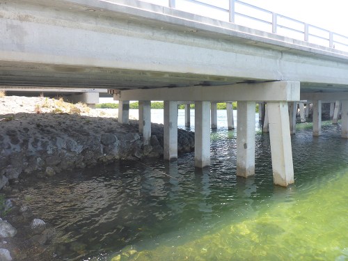 Florida Fishing Bridges10