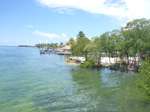Florida Fishing Bridges11