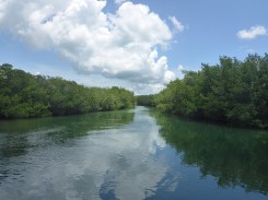 Florida Fishing Bridges43