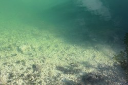 Florida Keys Bridges 106