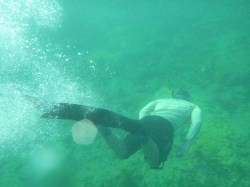 LauderdaleByTheSeaReef02