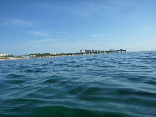 LauderdaleByTheSeaReef23