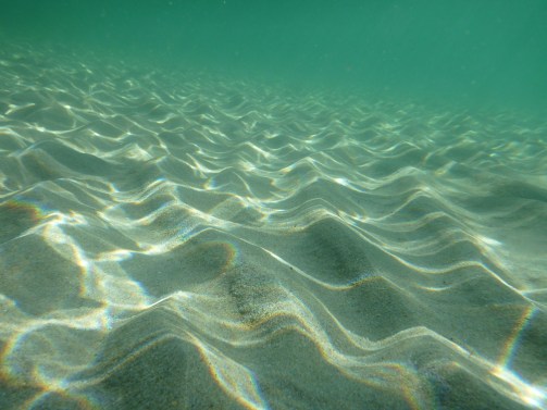 LauderdaleByTheSeaReef32