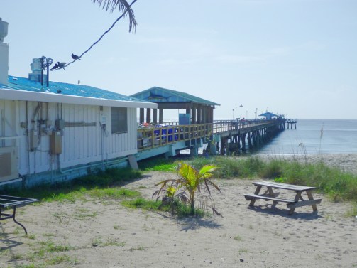 LauderdaleByTheSeaReef34