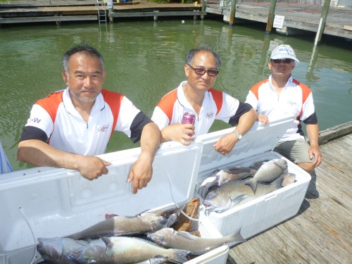 360Tuna Pulley Ridge 33