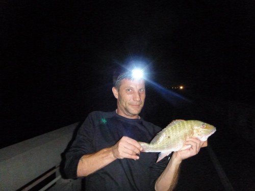 Ron's Mutton Snapper