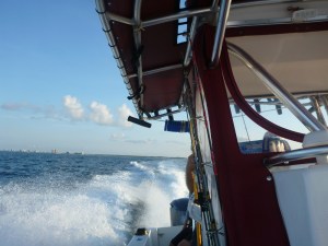 Boat Ride on the Snapper Napper