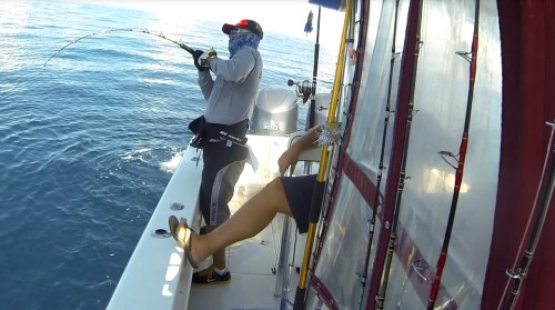 Jay and Bendo Action