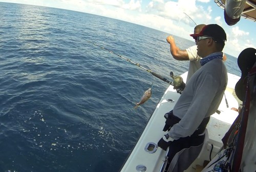 My Son Seth and his Porgie