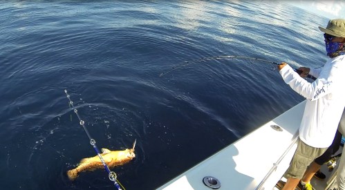 Ray and his nice Red Grouper