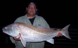 Jetty Fishing- Sebastian Inlet Quick&nbsp;Guide