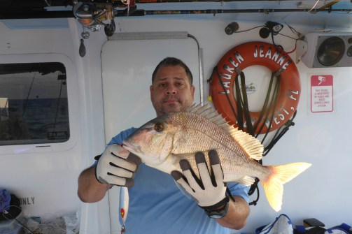 Herbert's Porgie on a jig